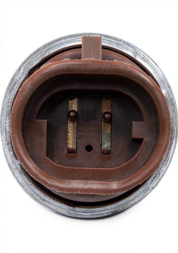 Sawyer Auto Automatic Pressure Switch-1